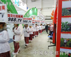 ��6�Ö|����ʡ���Ͻ��ו���ҫ�۵�����