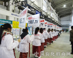 2013���ַ��ϕ�(hu��)�ϣ��r(n��ng)���W(w��ng)�����