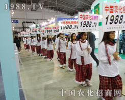 չ��(hu��)���ʲ��������c(di��n)��(y��ng)�Ӳ�Ͼ