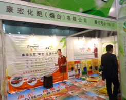 ���껯�ʣ����_(t��i)����2013�׏�(f��)�ʕ�(hu��)�ϱ��F(xi��n)����