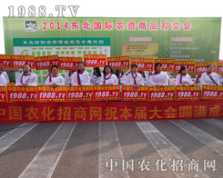 ��ʮ����ꖷ����p�����Ͽɐ۵���