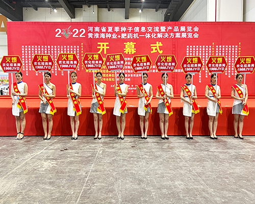 �����]�����Ĵ������������L�ɱM�@��