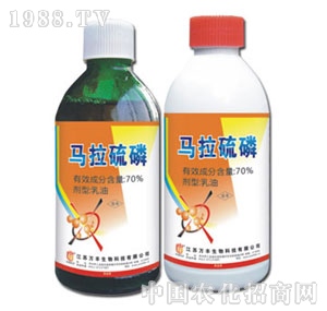 �f�S�r(n��ng)��-70%�R������