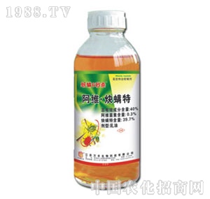 �f�S�r(n��ng)��-����6