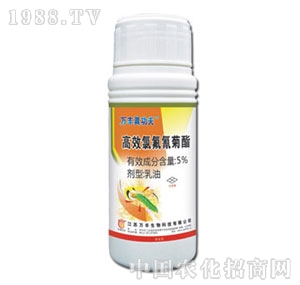 �f�S�r(n��ng)��-�f�S�湦��