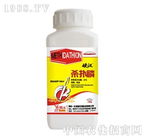 �Ͼ�һ��-������