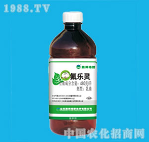 �ٰ�-�����`