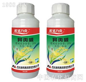 ��(��i)�Z-20%����������