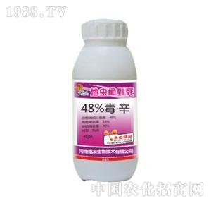 ����-���x����