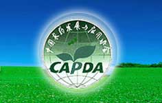 �r(n��ng)ˎ�l(f��)չ�c���Åf(xi��)��