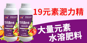 ����꿾����＼�g(sh��)���޹�˾